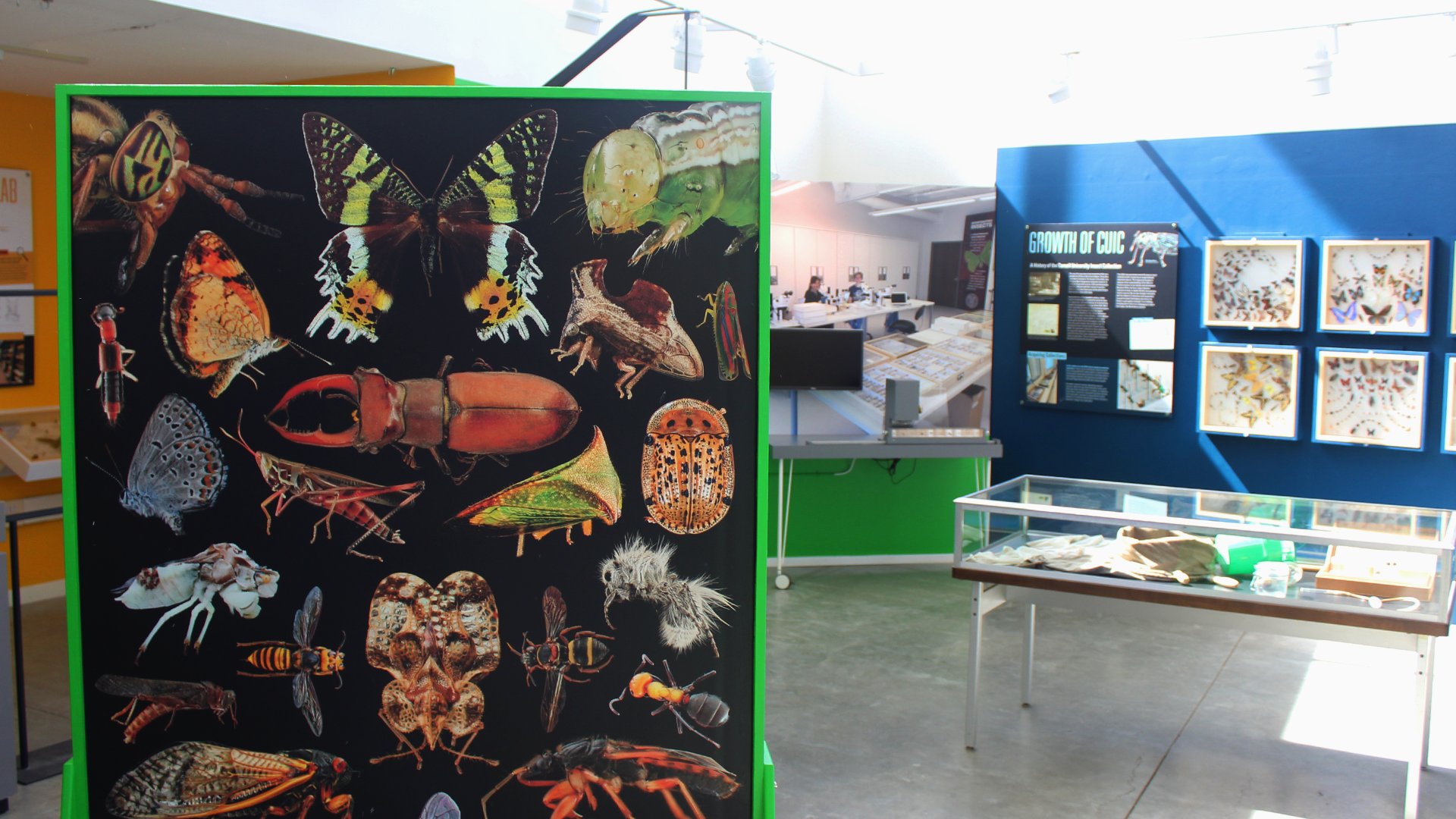 📖 오요도강 학습관 (오요도가와가쿠슈칸) 이미지 5